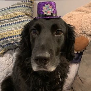 Meet your Posher, Philip